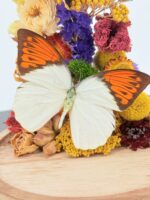 Duo vlinders op droogbloemen - Afbeelding 5