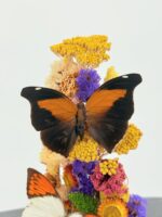 Duo vlinders op droogbloemen - Afbeelding 3