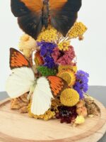 Duo vlinders op droogbloemen