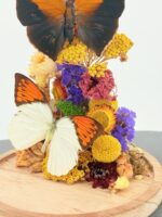 Duo vlinders op droogbloemen - Afbeelding 2