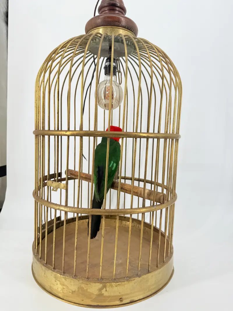 Australische koningsparkiet in kooi - Afbeelding 12