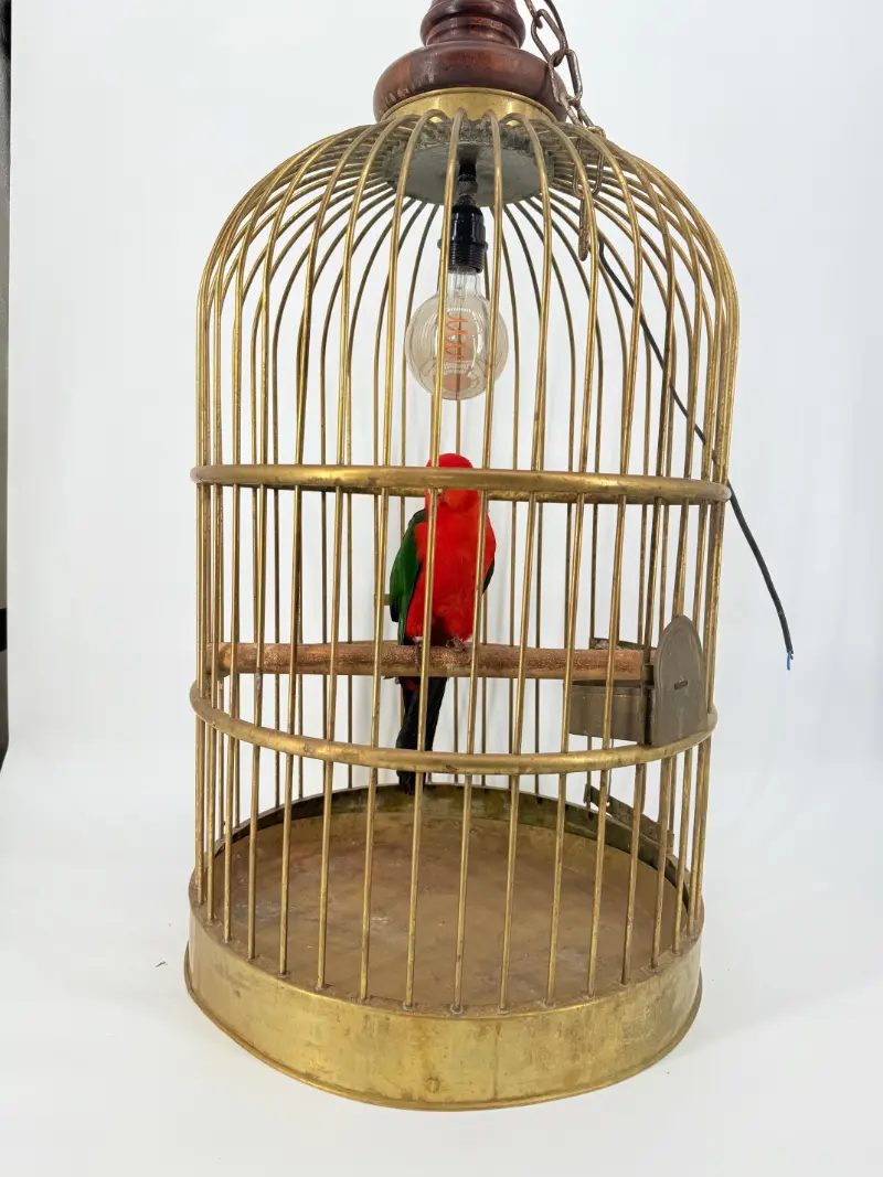 Australische koningsparkiet in kooi - Afbeelding 9