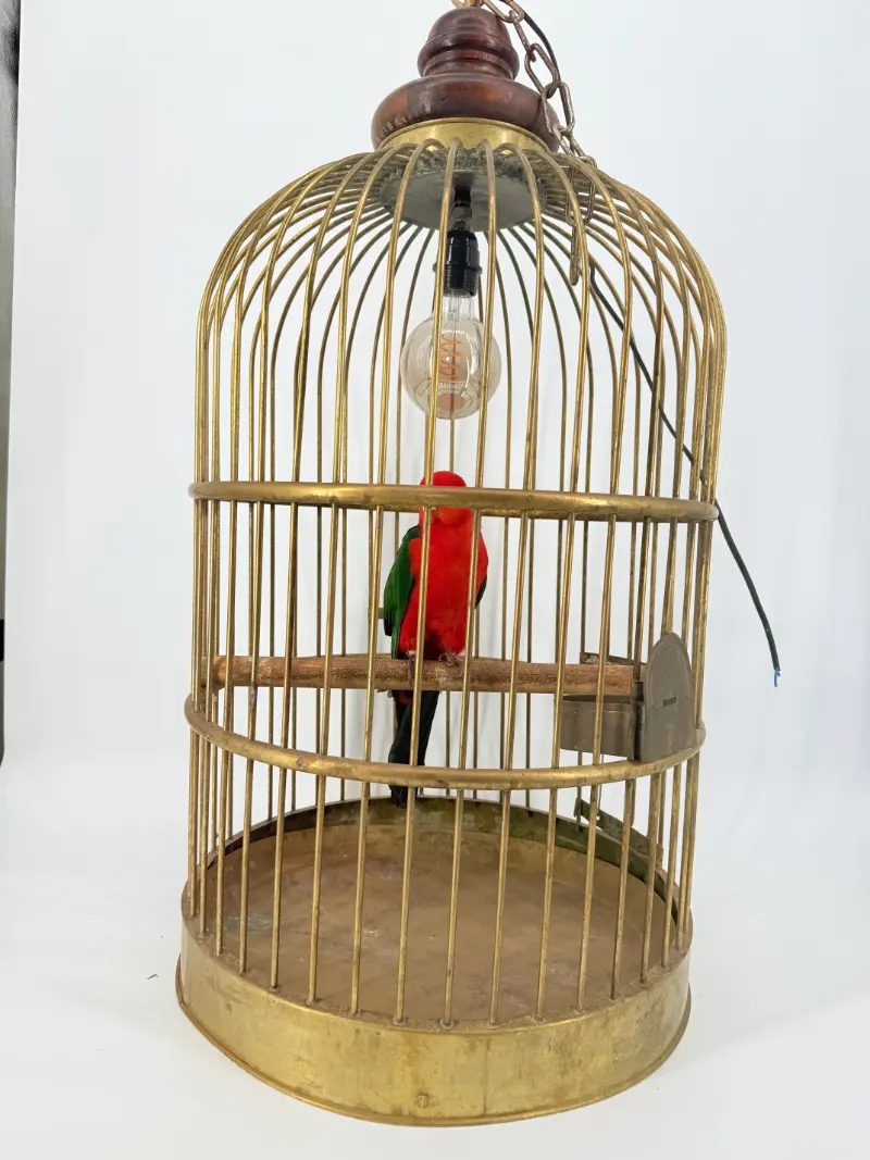 Australische koningsparkiet in kooi - Afbeelding 8