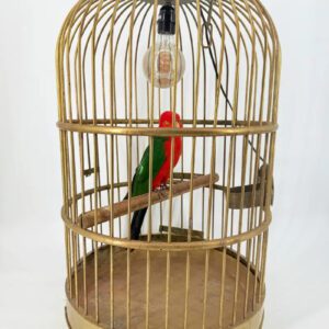 Australische koningsparkiet in kooi