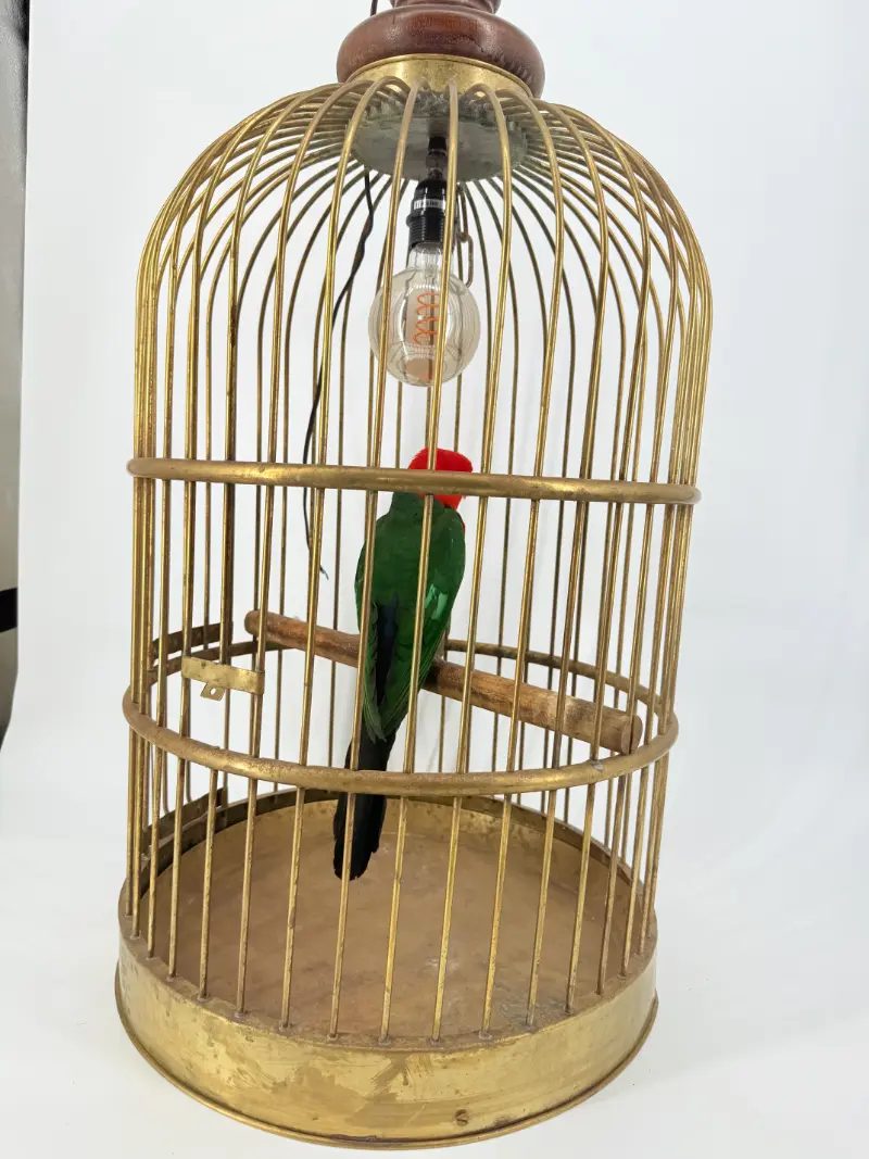 Australische koningsparkiet in kooi - Afbeelding 2