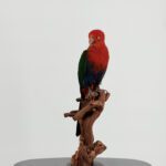 Taxidermie Koningsparkiet op houten stronk