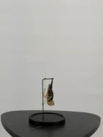 Vleermuis met half skelet onder stolp