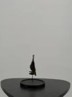 Vleermuis met half skelet onder stolp