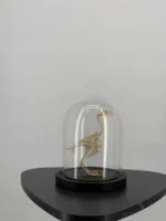 Vogelskelet onder glazen stolp