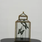 Zeegroene pagesvlinders in messing vitrine