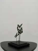 Zeegroene pagesvlinders in messing vitrine