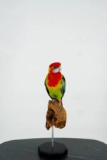 Oostelijke rosella op houten sokkel - Afbeelding 2