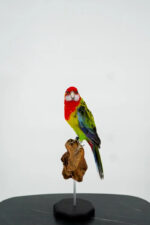 Oostelijke rosella op houten sokkel - Afbeelding 9