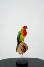 Oostelijke rosella op houten sokkel - Afbeelding 8