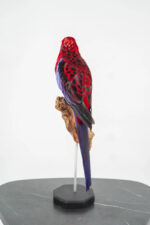 Pennantrosella op houten sokkel - Afbeelding 6