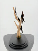 Ulysses vlinder onder stolp - Afbeelding 5