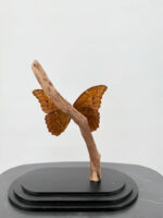 Blauwe Morpho vlinder op voet – foto 3