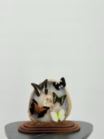 Agaatgeode met exotische vlinders