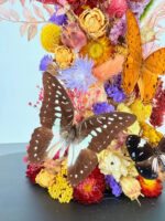Vlinderboeket met Sunset Moth – foto 3