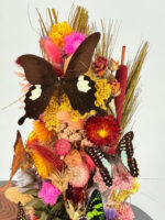 Tropische vlindermix met droogbloemen - Afbeelding 2
