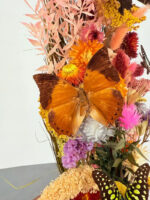 Tropische vlindermix met droogbloemen - Afbeelding 8
