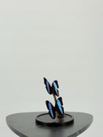 Dubbele Achilles-morpho op zwarte voet - Afbeelding 5