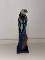 Blauwe Rosella - Afbeelding 3