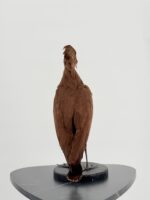 Hamerkop op zwarte sokkel - Afbeelding 5
