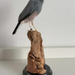 Rijstvogel