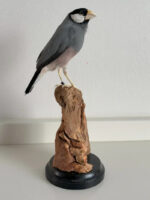 Rijstvogel