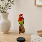 Oostelijke rosella op houten sokkel