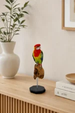 Oostelijke rosella op houten sokkel