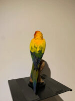 Zonparkiet - Afbeelding 3